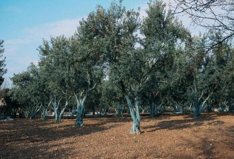 Отель Od Urla Misafirhane