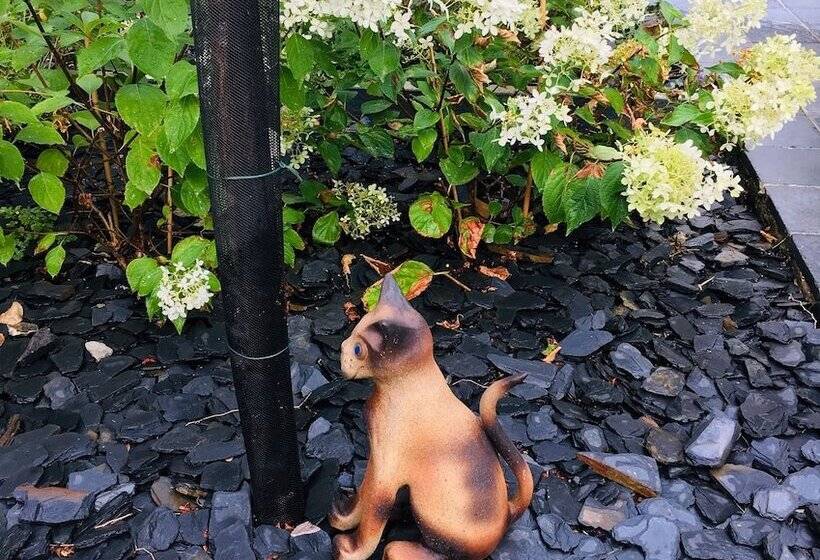 Пансион Les Chambres D Hotes Du Palais