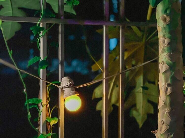 پانسیون Tam Coc Sunrise Homestay