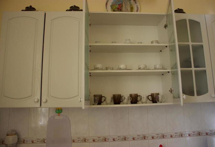 Platan Hostel