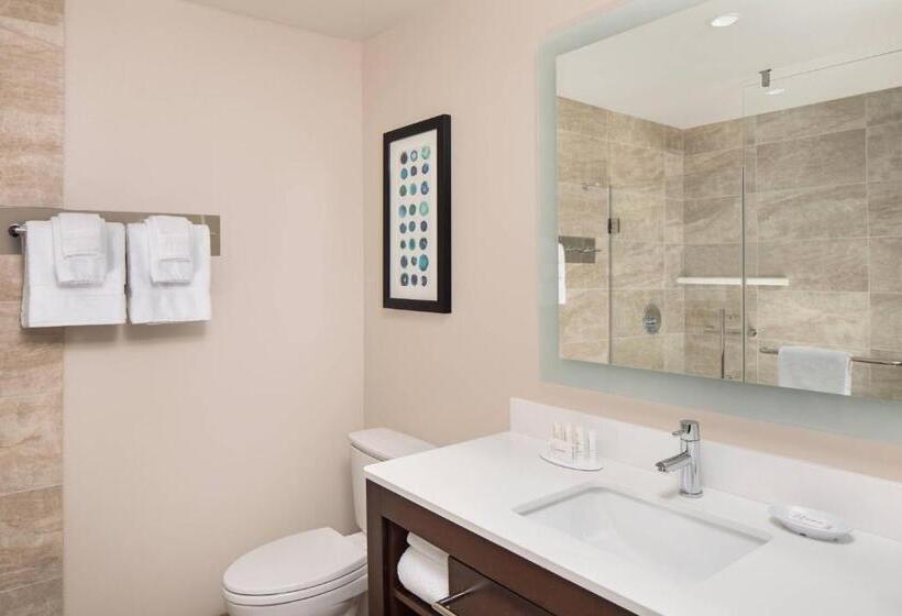 Residence Inn By Marriott Seattle South/renton