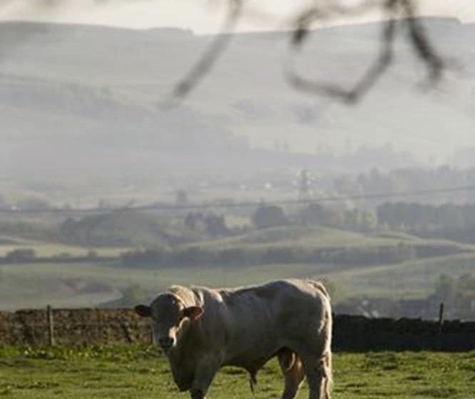 Balmashanner Bed And Breakfast