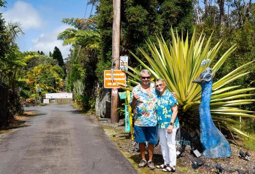 ベッドアンドブレックファースト Aloha Junction Guest House   5 Min From Hawaii Volcanoes National Park