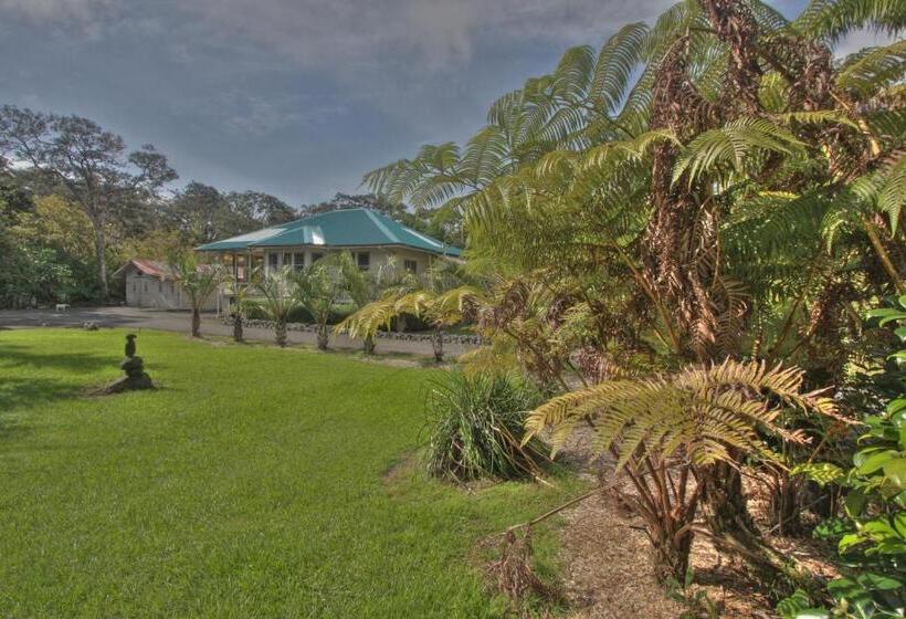 ベッドアンドブレックファースト Aloha Junction Guest House   5 Min From Hawaii Volcanoes National Park