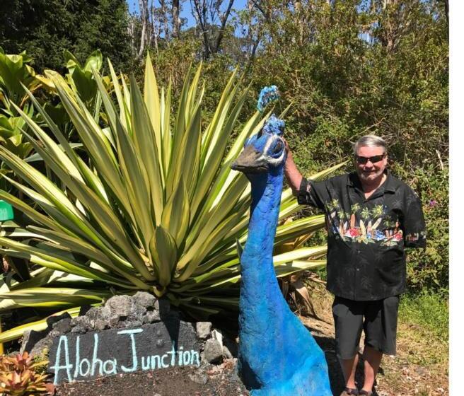 ベッドアンドブレックファースト Aloha Junction Guest House   5 Min From Hawaii Volcanoes National Park