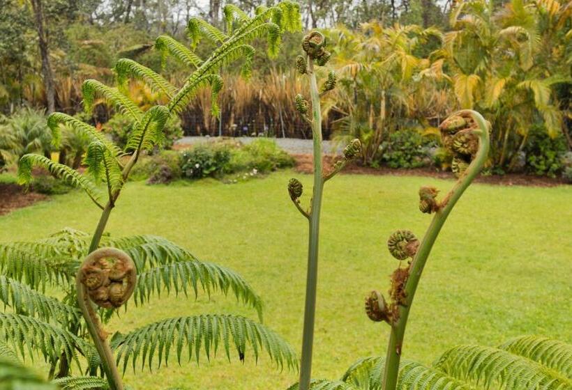 ベッドアンドブレックファースト Aloha Junction Guest House   5 Min From Hawaii Volcanoes National Park