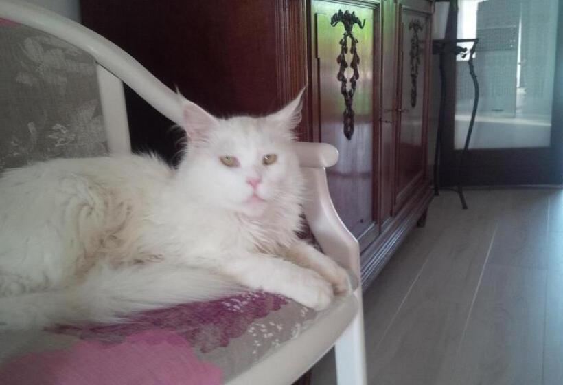 تختخواب و صبحانه Chambres D'hotes De Sauviolle