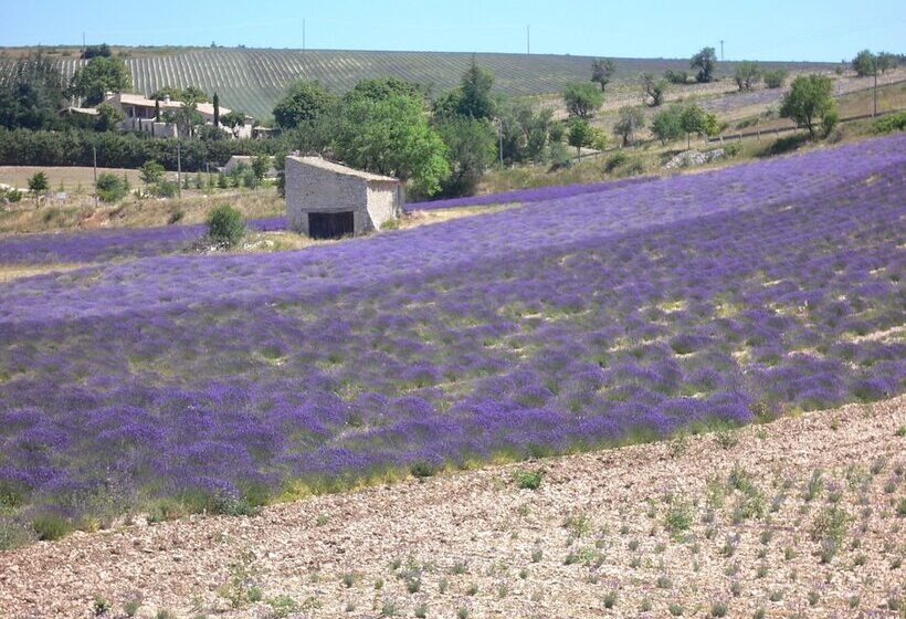 مبيت وإفطار Domaine La Lauren Avec Piscine Chauffée Et Jacuzzi