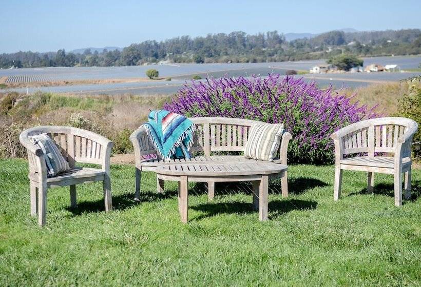 مبيت وإفطار Flora Vista Inn