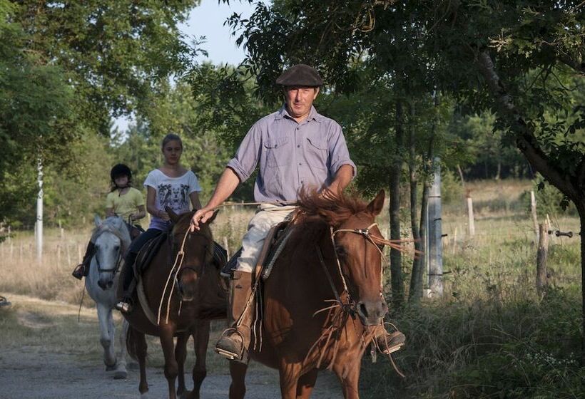 Bed and Breakfast Les Huguets