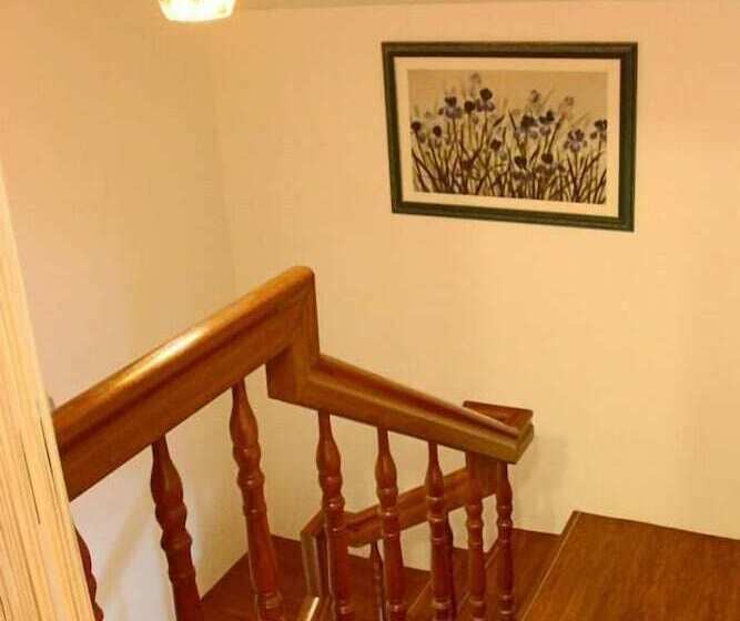 تختخواب و صبحانه Maple