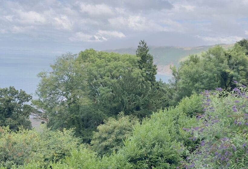 ベッドアンドブレックファースト North Walk House