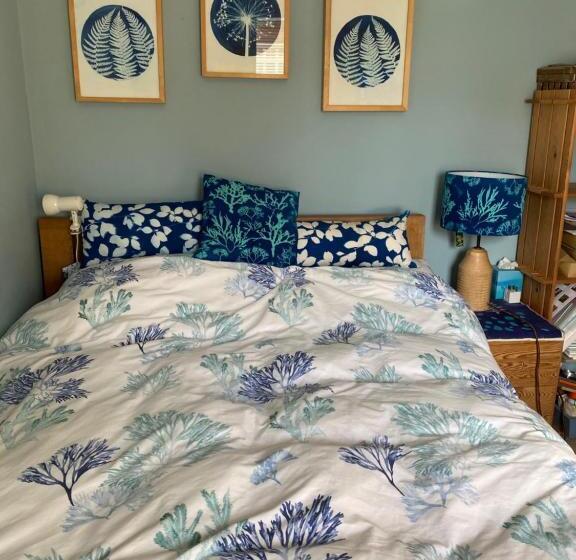 住宿加早餐 Shaptor Studio