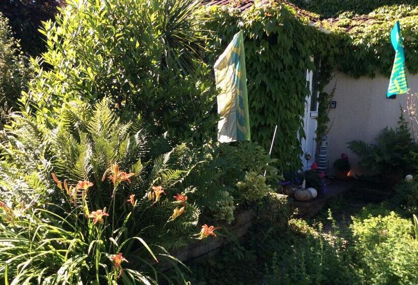 住宿加早餐 Shaptor Studio