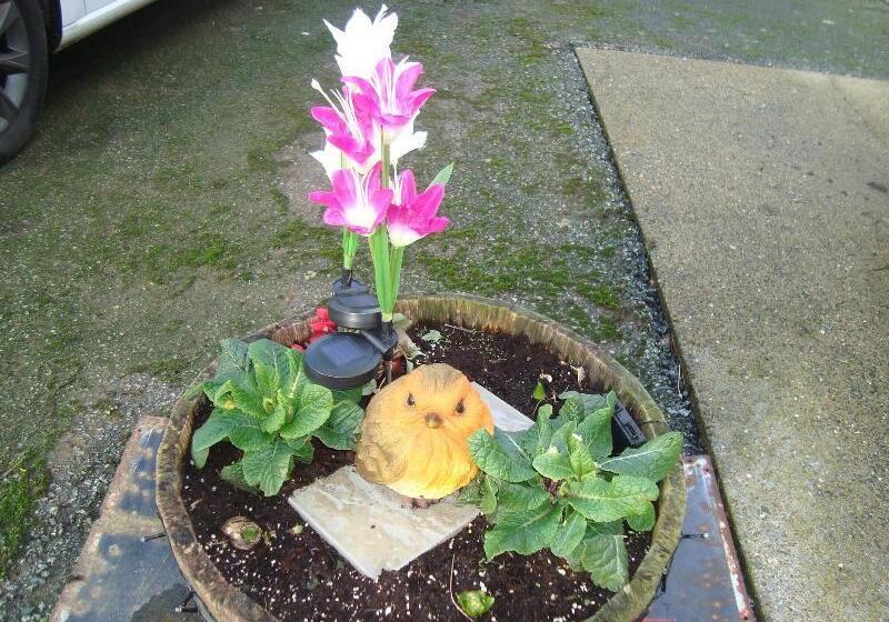 צימר The Farmhouse Lochmeyler