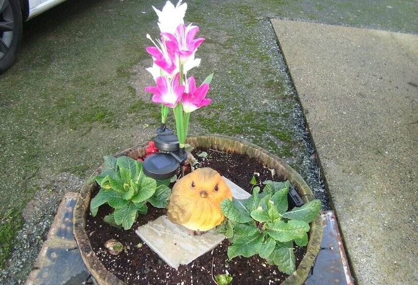 צימר The Farmhouse Lochmeyler