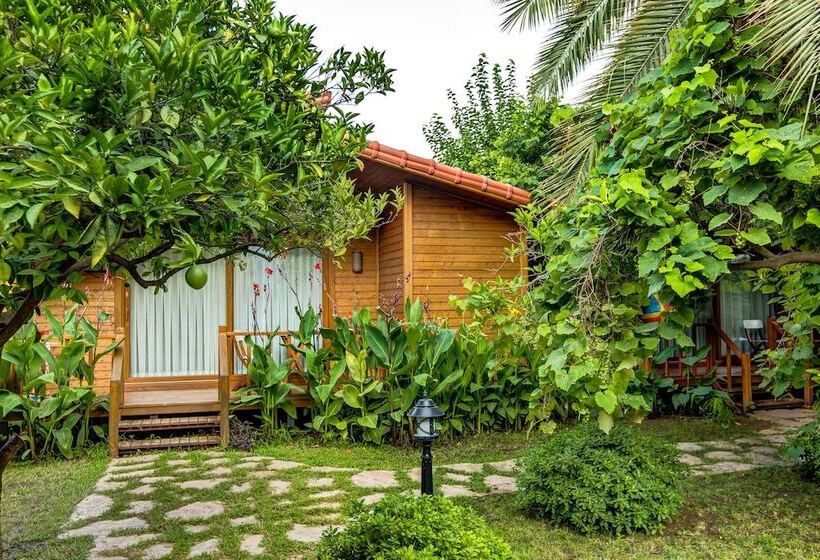 تختخواب و صبحانه Villa Lukka