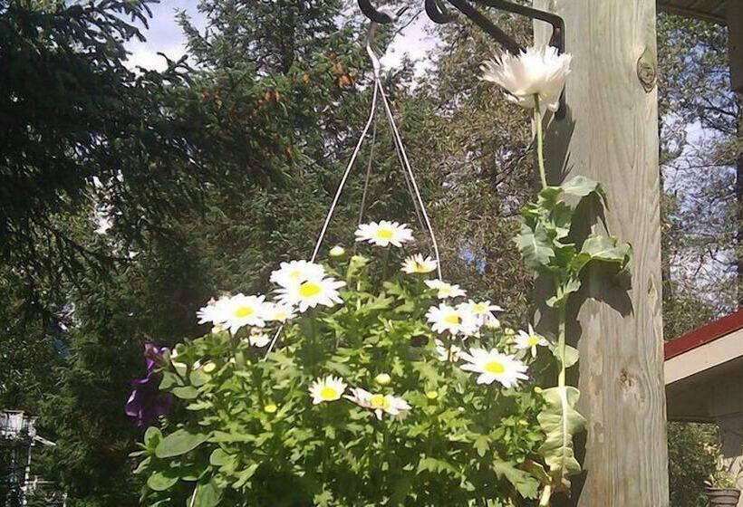 فندق فئة نجمة واحدة Alaska Dreamin  Lodging