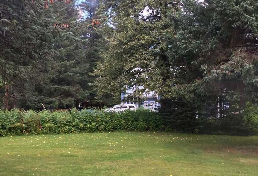 فندق فئة نجمة واحدة Alaska Dreamin  Lodging