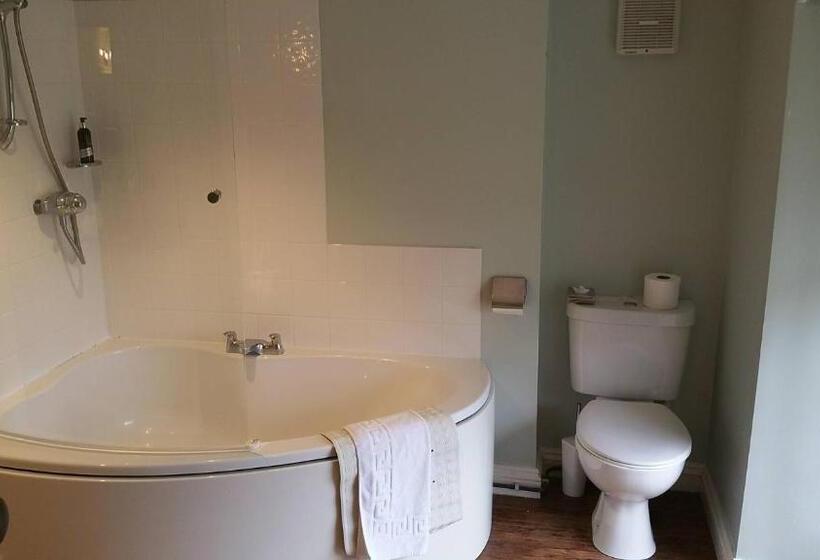 فندق فئة نجمة واحدة The Mill House