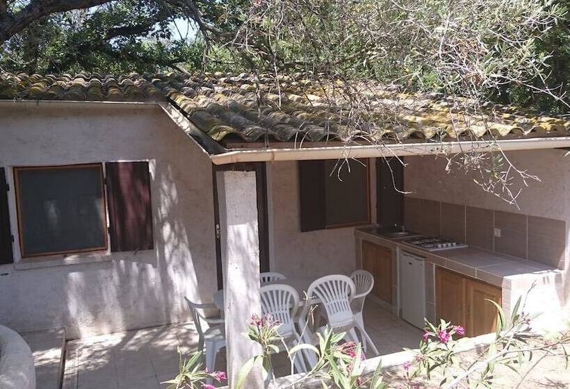 هتل Balanea   Campsite