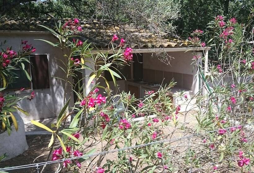 هتل Balanea   Campsite