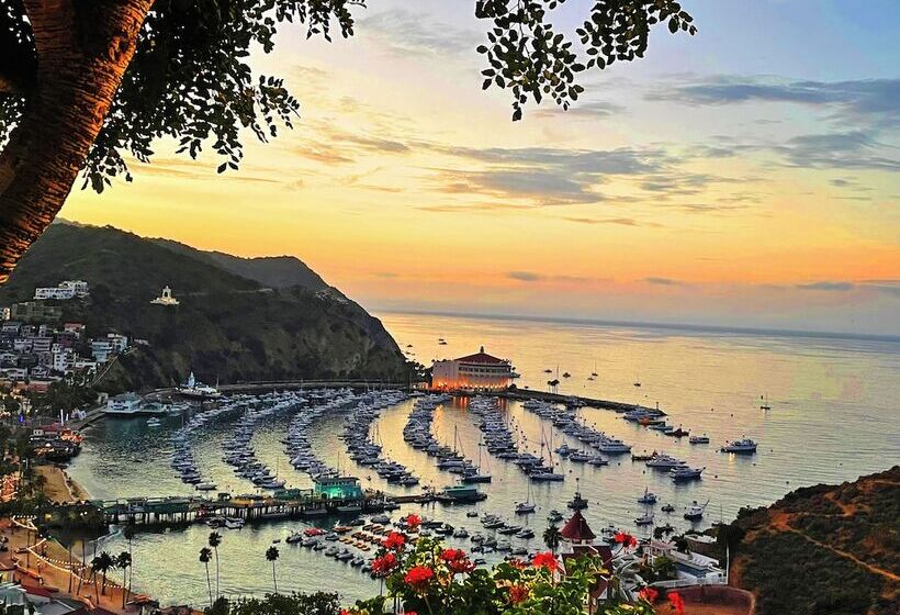 فندق Catalina Courtyard Suites