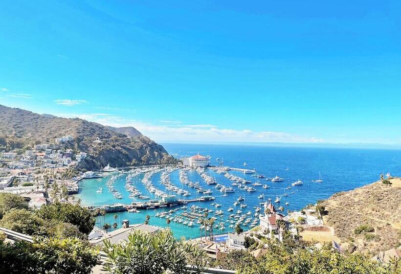 فندق Catalina Courtyard Suites