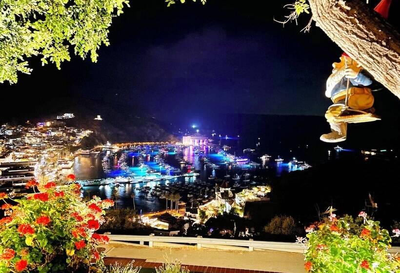 فندق Catalina Courtyard Suites