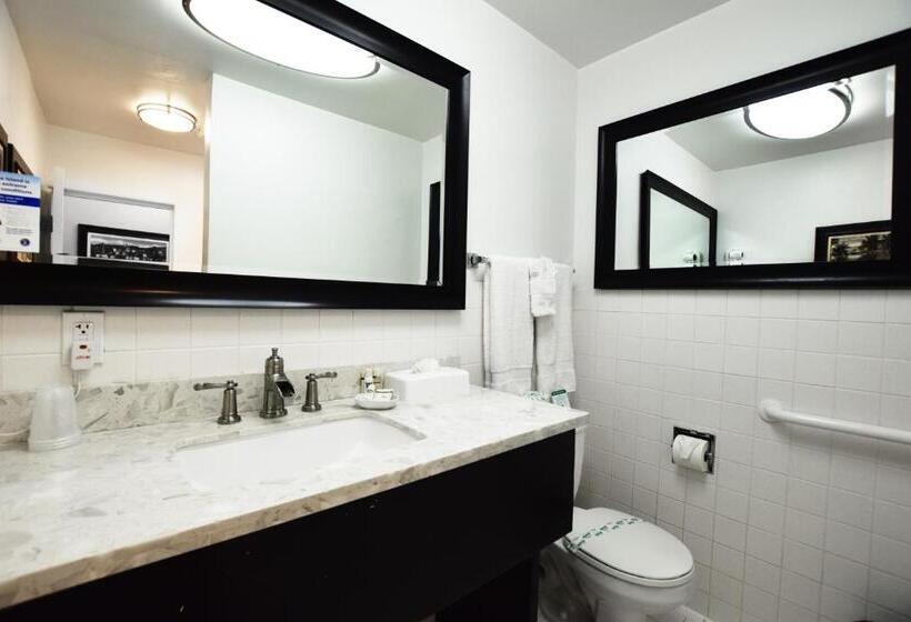 فندق Catalina Courtyard Suites