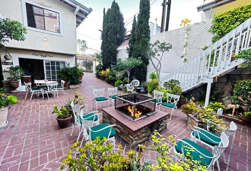 فندق Catalina Courtyard Suites