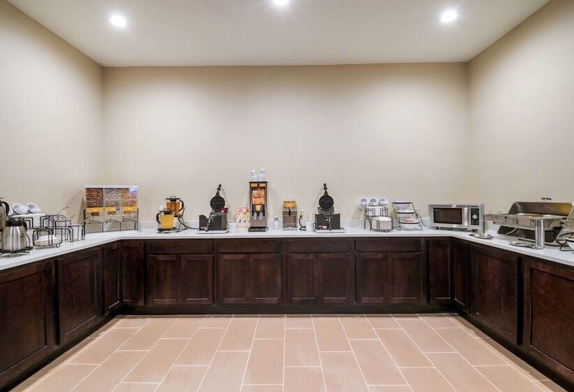 ホテル Comfort Inn & Suites Harrisburg  Hershey West