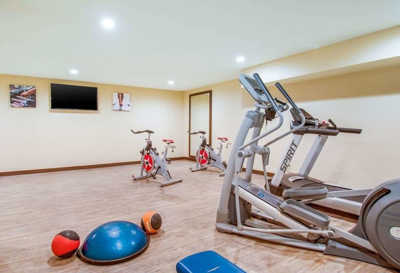 ホテル Comfort Inn & Suites Harrisburg  Hershey West