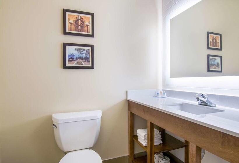 ホテル Comfort Inn & Suites Harrisburg  Hershey West