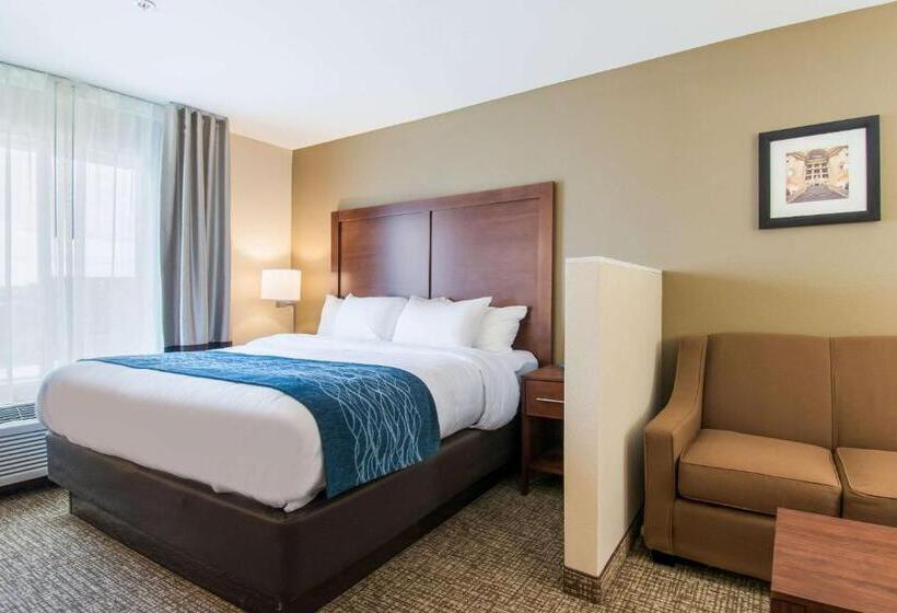 ホテル Comfort Inn & Suites Harrisburg  Hershey West
