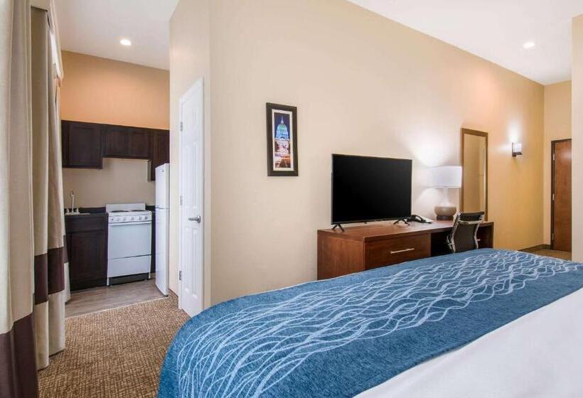 ホテル Comfort Inn & Suites Harrisburg  Hershey West