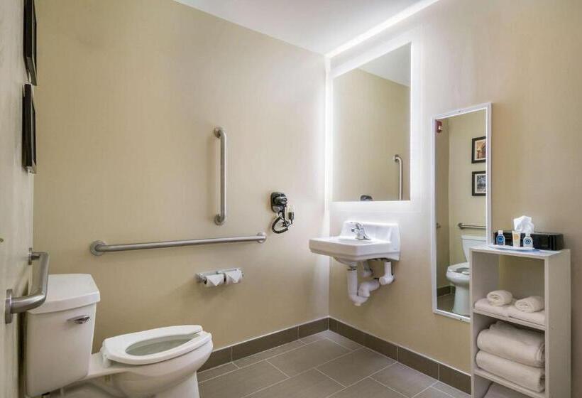 ホテル Comfort Inn & Suites Harrisburg  Hershey West