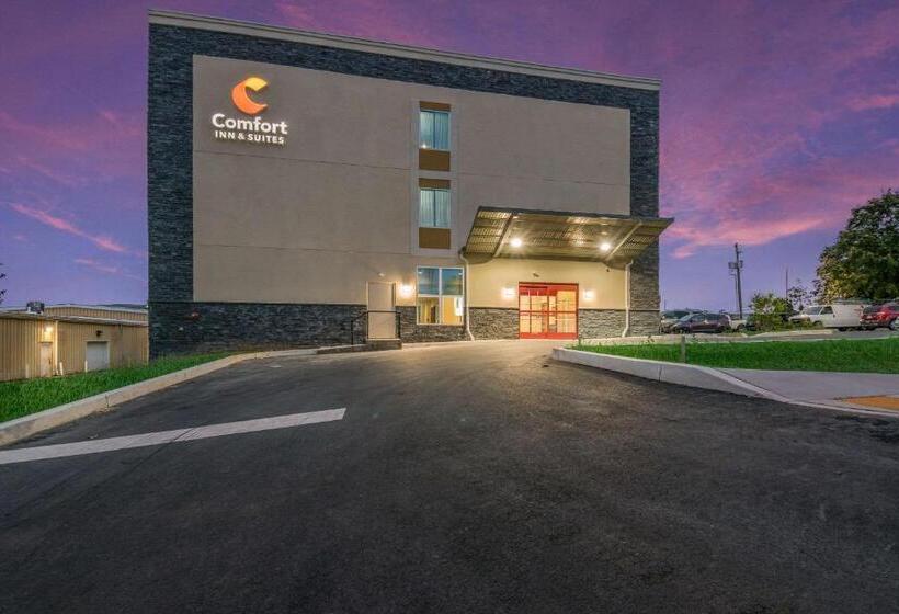 ホテル Comfort Inn & Suites Harrisburg  Hershey West