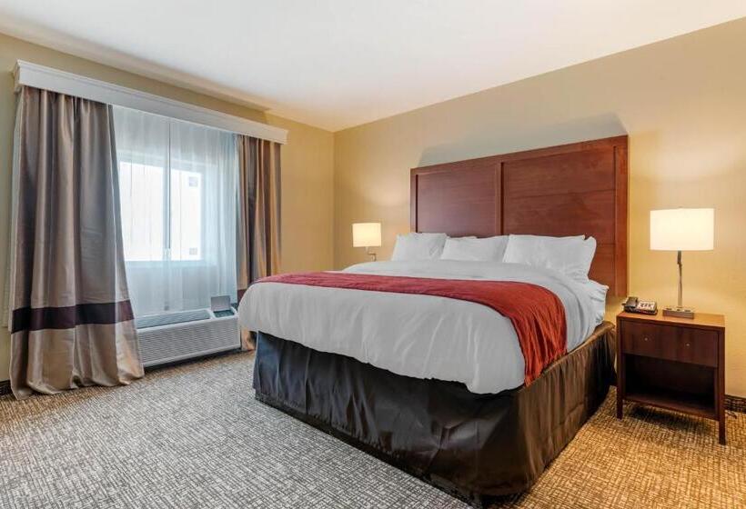 فندق Comfort Inn & Suites