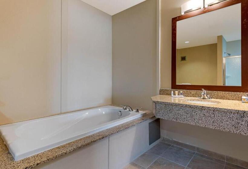 فندق Comfort Inn & Suites