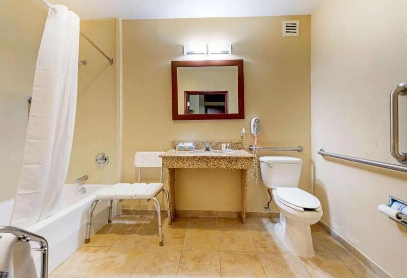 فندق Comfort Inn & Suites