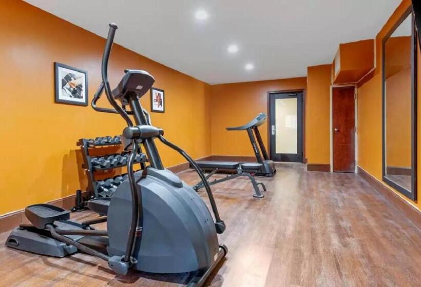 فندق Comfort Inn & Suites