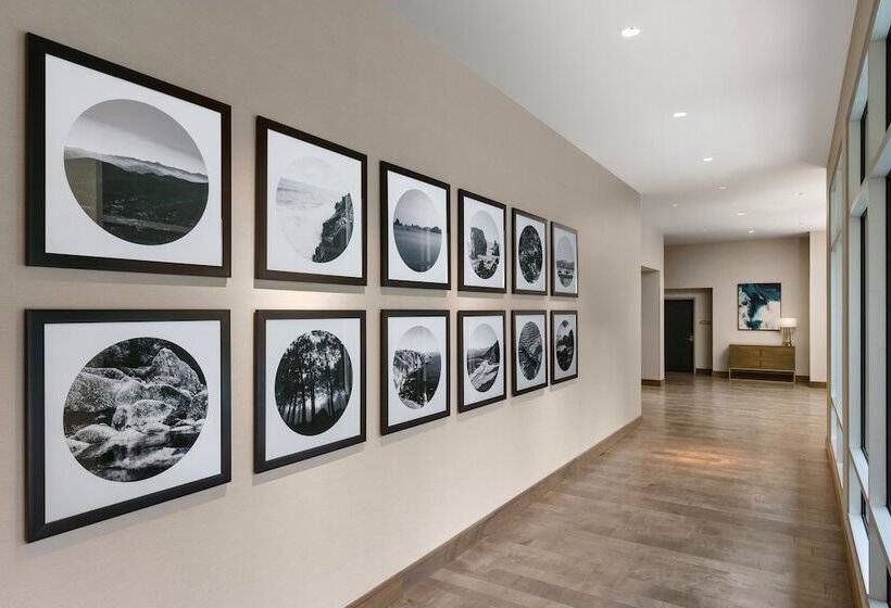 فندق Hilton Garden Inn Sunnyvale