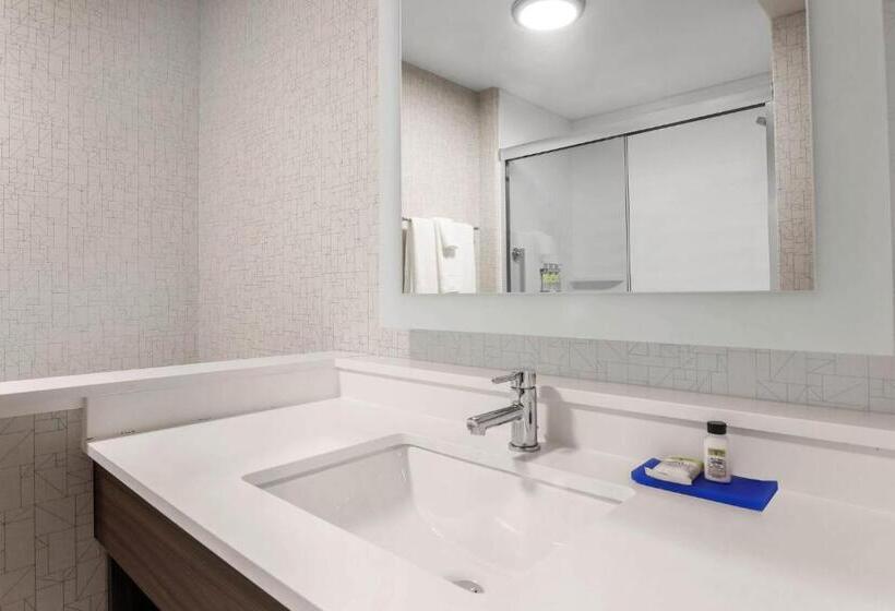 فندق Holiday Inn Express & Suites Chicago O Hare Airport, An Ihg