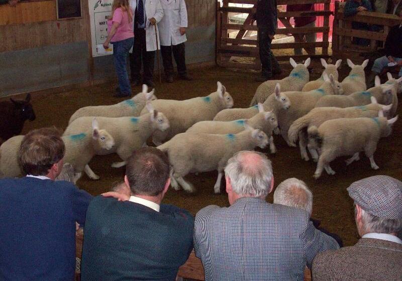 فندق Lairg Highland