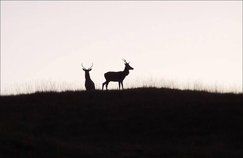 فندق Lairg Highland