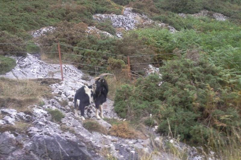 فندق Lairg Highland