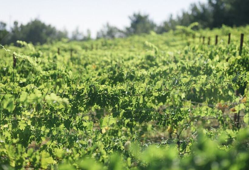 בית מלון כפרי Manej Urla