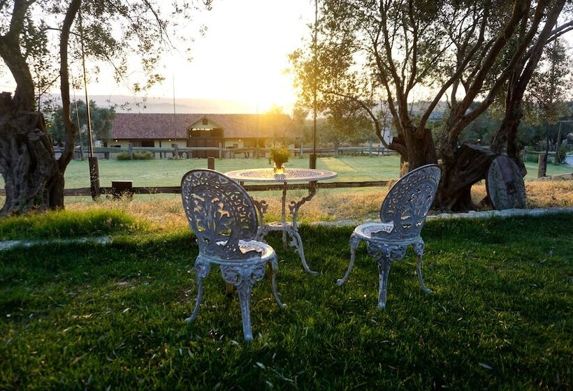 בית מלון כפרי Manej Urla