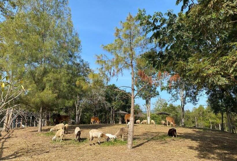 Отель Ruean Racha